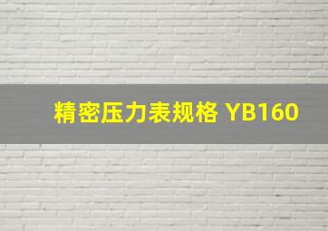 精密压力表规格 YB160